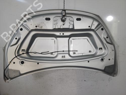 Hood DACIA LODGY (JS_) 1.2 TCe (JSAY, JSM0) | BP30184203C1 