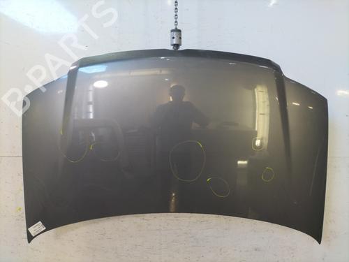 Used Hood FIAT PANDA (169_) 1.2 4x4 (169AXF2A, 169AXF1A) (69 hp) 31062260