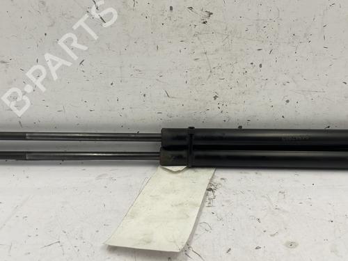 Tailgate lift support FORD KA (RU8) 1.2 | BP22843619C138