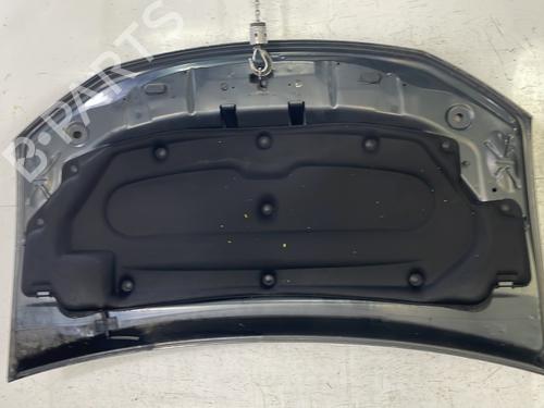 Hood DACIA SANDERO II 1.5 dCi | BP31657889C1 