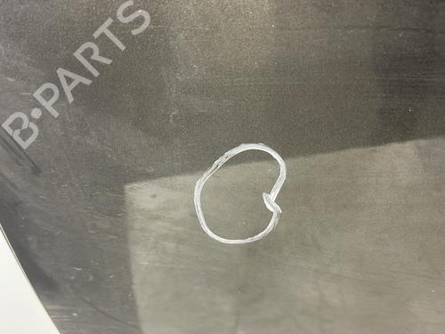 Left rear door ALFA ROMEO GIULIETTA (940_) 2.0 JTDM (940.FXL1A) | BP29700480C4 