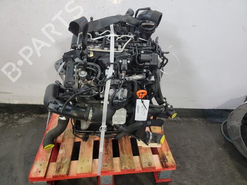 Used Engine VW POLO V (6R1, 6C1) 1.2 TDI (75 hp) 26498235