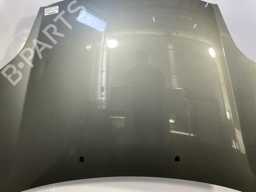 Used Hood FIAT BRAVO II (198_) 1.6 D Multijet (198AXH1B) (105 hp) 22827315