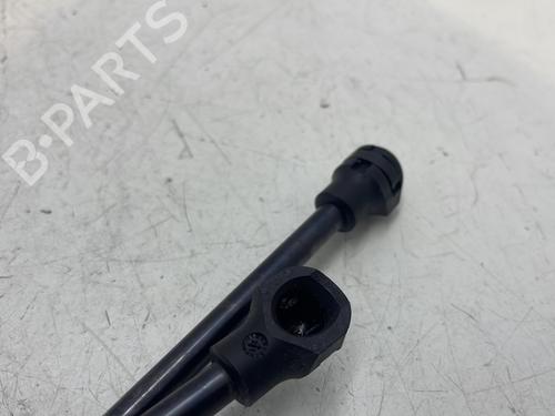 Hood lift support RENAULT EXPRESS Box Body/MPV  | BP27558568C139