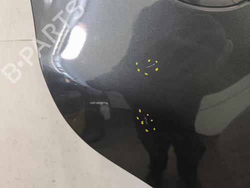 Used Right rear door Right rear door FIAT 500L (351_, 352_) 1.3 D Multijet (199.LYM11, 199.LYM1A) (95 hp) 34260473 34260473