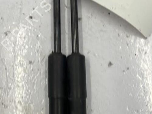 Tailgate lift support BMW 1 (F20) 116 d | BP22839307C138
