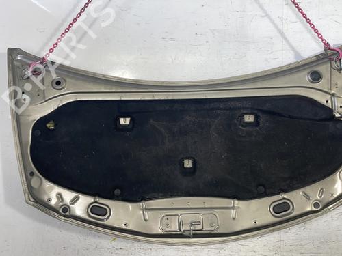 Hood RENAULT CLIO III (BR0/1, CR0/1) 1.5 dCi | BP25758095C1 