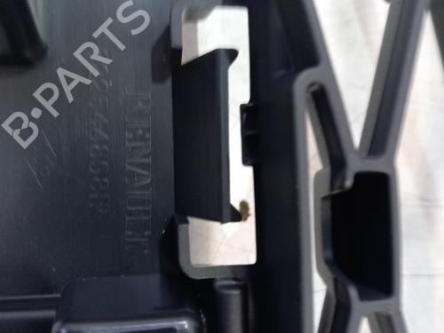 Grill RENAULT ZOE (BFM_) ZOE | BP29540868C40 