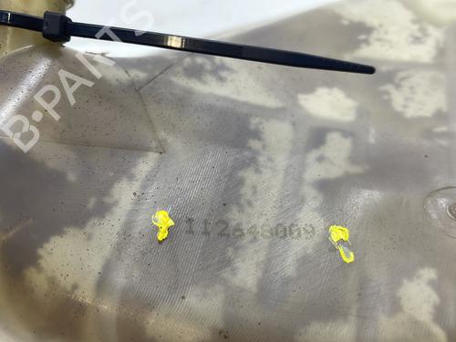 Expansion tank RENAULT TWINGO II (CN0_) 1.2 16V (CN04, CN0B) | BP29314983C120 