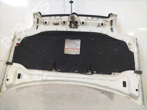 Capot Capot FIAT DOBLO Box Body/MPV (223_) 1.3 JTD 16V (70 hp) 30451006 30451006