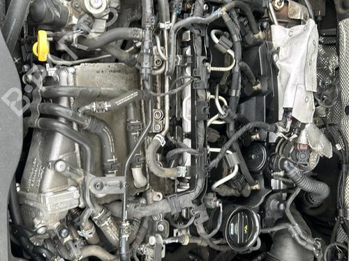 Used Gearbox VW GOLF SPORTSVAN VII (AM1, AN1) 1.6 TDI (110 hp) 32165616