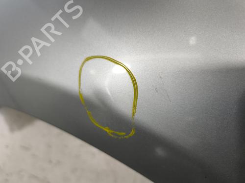 Left front fenders DACIA SANDERO 1.5 dCi | BP30162609C41 