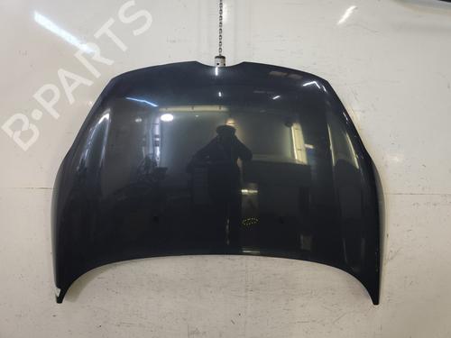 Panser FORD FIESTA VI (CB1, CCN) 1.4 TDCi (70 hp) 32491647