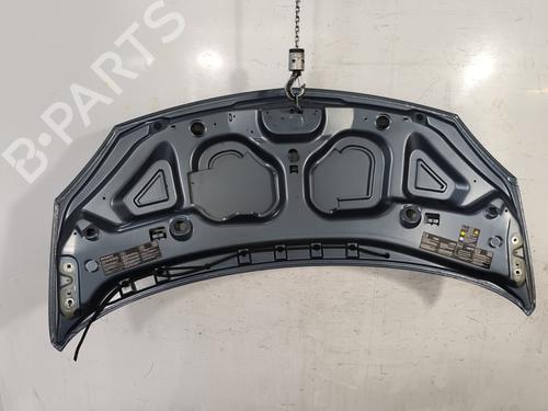 Used Hood Hood RENAULT TWINGO II (CN0_) 1.2 16V (CN0K, CN0V, CN0A) (76 hp) 25287541 25287541