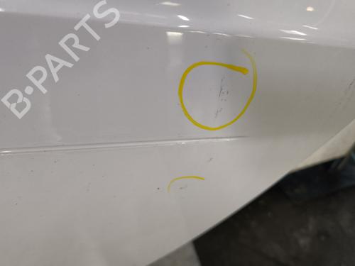 Left front door SMART CABRIO (450) 0.6 (S1OLA1, 450.441, 450.442, 450.443) | BP32078235C2 - Image 7