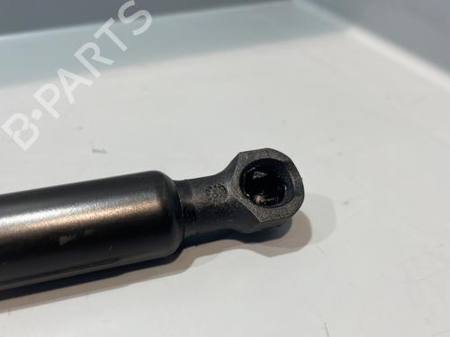 Hood lift support DACIA SANDERO II 1.0 SCe 75 (B8JC, B8JD, B8NC) | BP29338990C139 