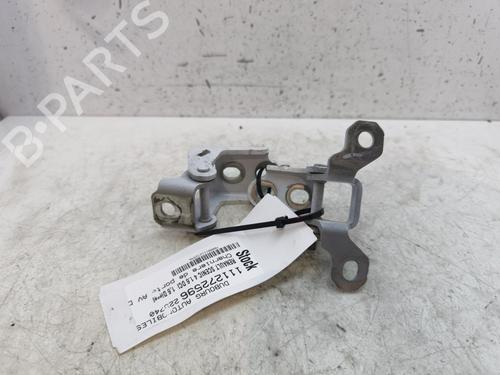 Hinge/Door check strap RENAULT SCÉNIC IV (J9_) 1.6 dCi 160 | BP28731322C146 