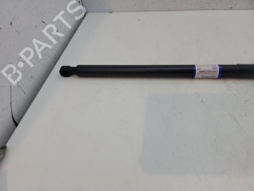 Hood lift support DACIA SANDERO II TCe 90 (B8M1, B8MA, B8AC) | BP26642498C139