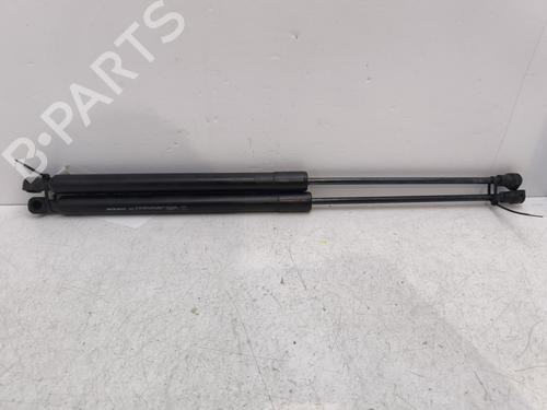 Used Tailgate lift support DACIA LODGY (JS_) 1.2 TCe (JSAY, JSM0) (115 hp) 30396999