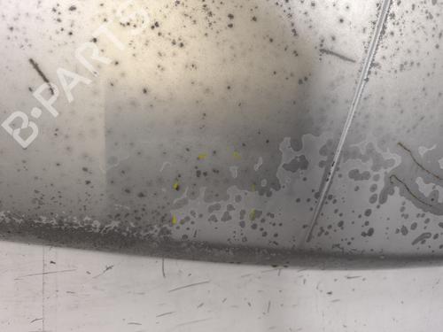 Hood RENAULT 9 (L42_) 1.1 (L421) | BP29960124C1