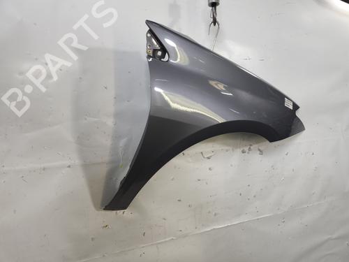Right front fenders RENAULT LAGUNA III Grandtour (KT0/1) 2.0 dCi (KT01, KT08, KT09, KT0K, KT12, KT1D, KT1W) | BP29466532C42 