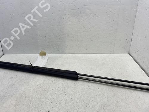 tailgate-lift-support-ford-c-max-ii-dxacb7-dxaceu-2010-2011-2012-2013-2014-2015-2016-2017-2018-2019-32114722 main image