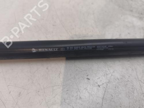 Hood lift support DACIA SANDERO II  | BP27545895C139 