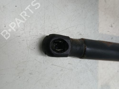 Hood lift support VW EOS (1F7, 1F8) 2.0 FSI | BP29960034C139