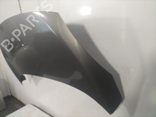 Hood RENAULT SCÉNIC III (JZ0/1_) 1.5 dCi | BP23829220C1 