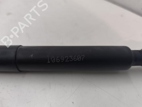 hood-lift-support-renault-zoe-bfm_-2012-26732175 main image