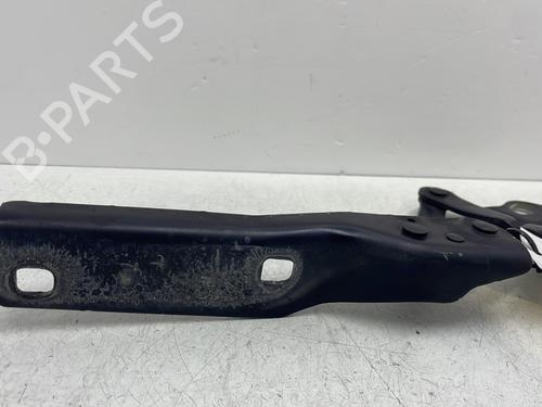 Hinge/Door check strap AUDI R8 (422, 423) 5.2 FSI quattro | BP30123846C146
