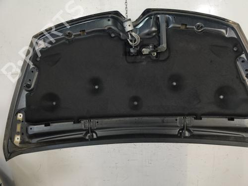 Hood CITROËN C4 Grand Picasso II (DA_, DE_) 1.6 HDi / BlueHDi 115 | BP30379150C1