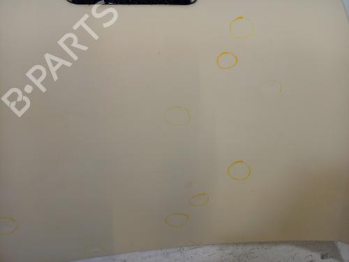 Hood PEUGEOT BIPPER Tepee 1.4 HDi | BP30184374C1 