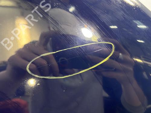 Hood DACIA SANDERO II 1.0 SCe 75 (B8JC, B8JD, B8NC) | BP29314968C1 