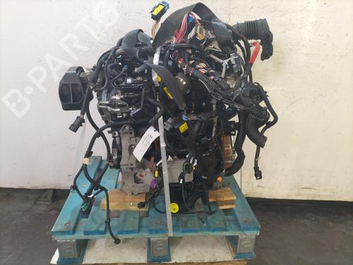 Used Engine DACIA SANDERO II 1.5 Blue dCi 95 (B8JL) (95 hp) 32281081