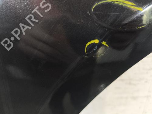 Right front fenders RENAULT CLIO III (BR0/1, CR0/1) 1.2 16V (BR02, BR0J, BR11, CR02, CR0J, CR11) | BP29869199C42