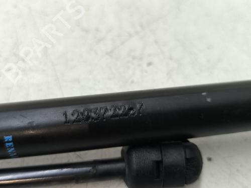 Used Tailgate lift support Tailgate lift support 38185386 38185386