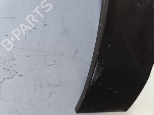 Left front fenders RENAULT SCÉNIC III (JZ0/1_) 1.9 dCi (JZ0J, JZ1J, JZ1K, JZ1S) | BP25603146C41 