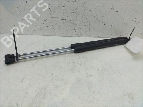 Used Tailgate lift support RENAULT CLIO III (BR0/1, CR0/1) 1.5 dCi (88 hp) 27707806