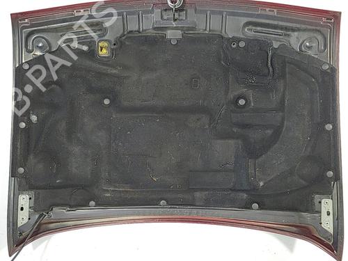 Hood FORD FIESTA IV (JA_, JB_) 1.25 i 16V | BP22828538C1 