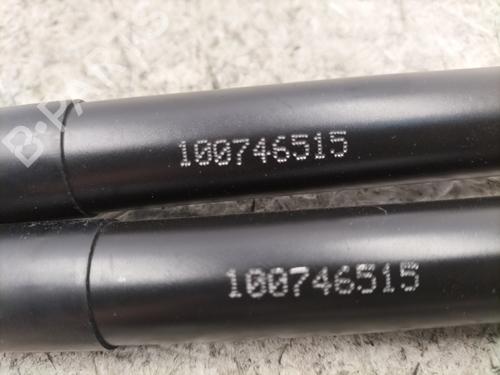 Gassdemper Bakluke PEUGEOT 208 II (UB_, UP_, UW_, UJ_) e-208 | BP24196745C138 