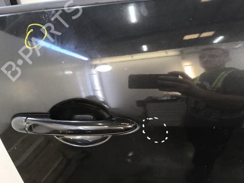 Right front door RENAULT SCÉNIC III (JZ0/1_) 1.5 dCi | BP29261151C3 