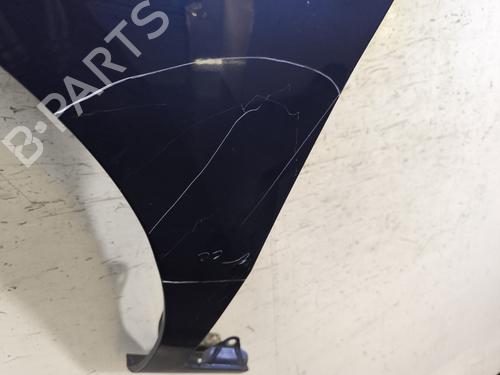 Left front fenders FIAT QUBO (225_) 1.3 D Multijet (225CXB1A, 225AXB1A, 225CXB11, 225AXB11,... | BP28525817C41