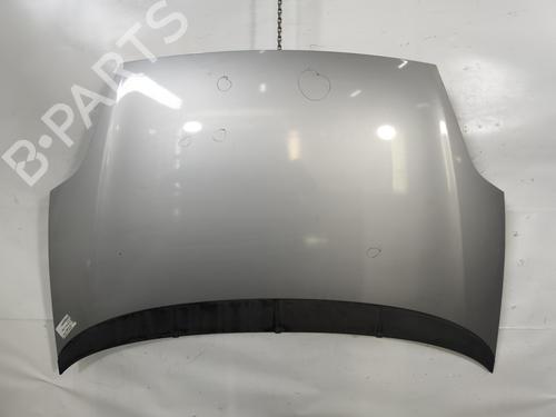 hood-fiat-punto-evo-199_-2008-29377457 main image