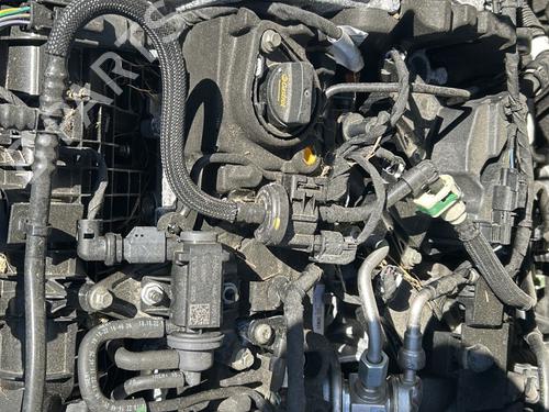 Engine FORD PUMA (J2K, CF7) 1.0 EcoBoost mHEV | BP29448651M1 