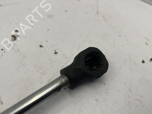 Hood lift support DACIA SANDERO II 1.2 | BP25120766C139 