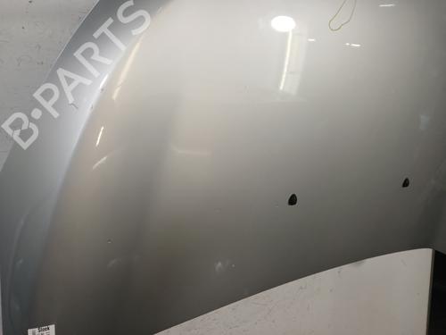 Hood DACIA LODGY (JS_) 1.2 TCe (JSAY, JSM0) | BP30184203C1 