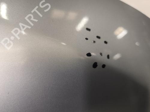 Hood RENAULT MEGANE III Hatchback (BZ0/1_, B3_) 1.5 dCi (BZ0C) | BP32313787C1