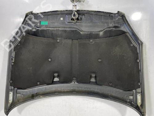 Hood NISSAN QASHQAI / QASHQAI +2 I (J10, NJ10, JJ10E) 2.0 dCi | BP22835434C1 