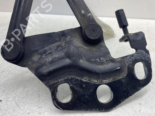 Hinge/Door check strap AUDI R8 (422, 423) 5.2 FSI quattro | BP30123846C146